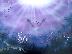 PoulaTo: Spray paint art, Purple coral reef   by YannisArt